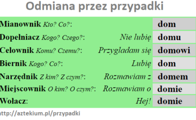 Odmiana przez przypadki